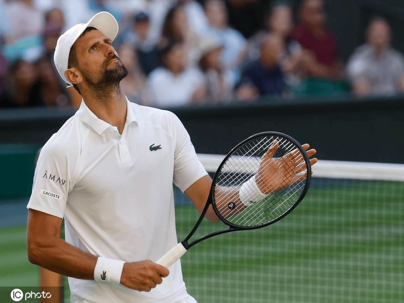 包含德约科维奇关键节点爆冷，澳大利亚队带队取胜！的词条